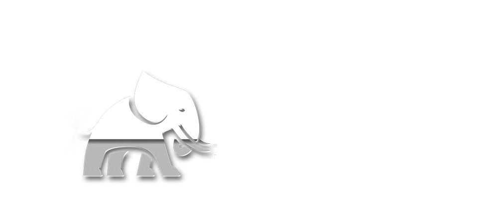 Everluck logo